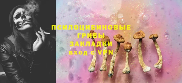 амф Приозерск