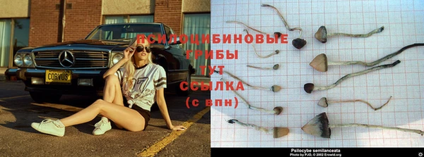 герыч Белокуриха
