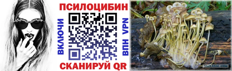 Галлюциногенные грибы мухоморы  где найти наркотики  Коркино 
