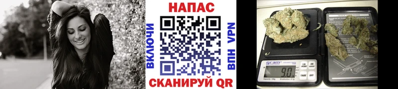 Марихуана сатива купить наркотик блэк спрут Коркино
